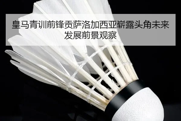皇马青训前锋贡萨洛加西亚崭露头角未来发展前景观察